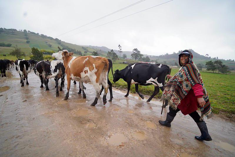 CesarPachonAgro's tweet image. ¡¡¡Qué activas están algunas bodegas por estos días!!!!
¿Señal de que vamos bien o puro aburrimiento de gente sin ocupación?
Mientras tanto les dejo esta imagen ❤️ para que Sumercé sonría en este sábado