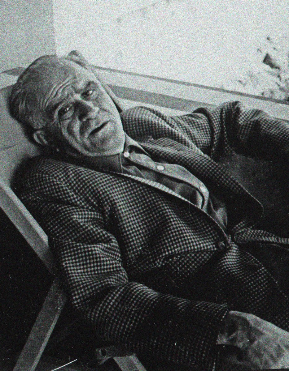 "…sefalet. bütün gün kendimi rahatsız bulduğum için evden çıkmadım. can sıkıntısı. erotik hülyalar. yarının sabırsızlığı. taklit ve kepazelik. hiçbir şeyi bitiremiyorum. ilaç epeyce sarstı. saat sekize kadar 28 cıgara… hiçbir şey yapamıyorum. (…) türkiye beni yedin!”

ahmet