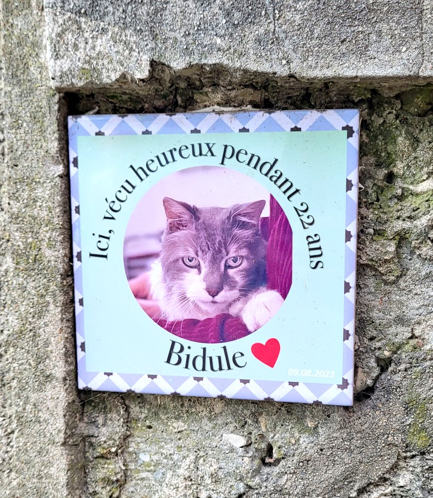 Kurotriple2's tweet image. On promenait tranquillement la chienne quand soudain sur le mur d'une maison...