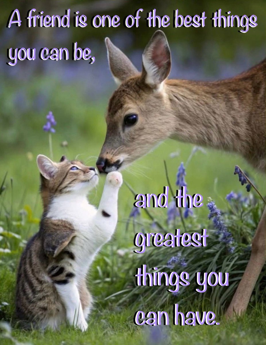 🌷💜✨Be a blessing!🌷💜🌷