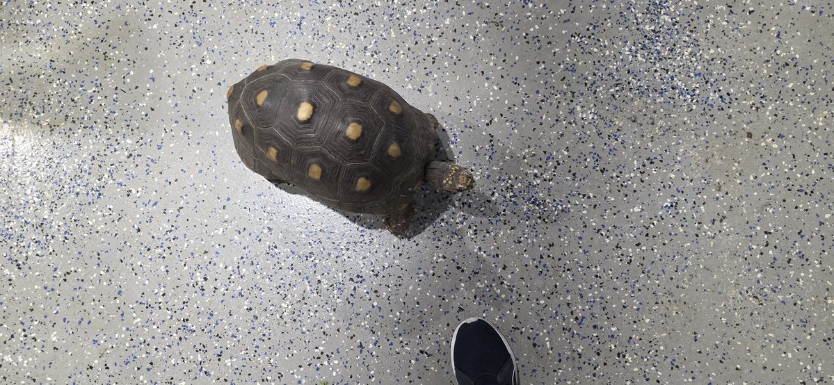 TherealDaneal's tweet image. My grandson wanted to see animals for his birthday. It was a great time.