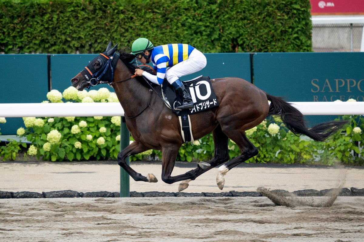 netkeiba's tweet image. 札幌11R TVh賞 3歳上3勝
#カルプスペルシュ
#横山武史
父シュヴァルグラン
母パロネラ
同産駒はメリオーレムに続き、2頭目のJRA古馬オープン入り。
札幌12R 桑園特別 3歳上2勝
#ワイドブリザード
#浜中俊
父カリフォルニアクローム
母ハナフブキ
撮影:山中博喜
