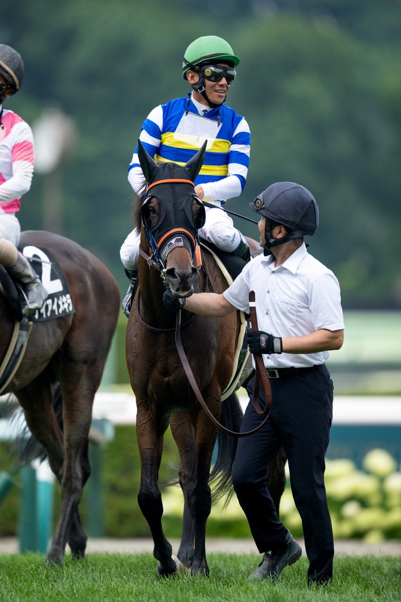 netkeiba's tweet image. 札幌11R TVh賞 3歳上3勝
#カルプスペルシュ
#横山武史
父シュヴァルグラン
母パロネラ
同産駒はメリオーレムに続き、2頭目のJRA古馬オープン入り。
札幌12R 桑園特別 3歳上2勝
#ワイドブリザード
#浜中俊
父カリフォルニアクローム
母ハナフブキ
撮影:山中博喜