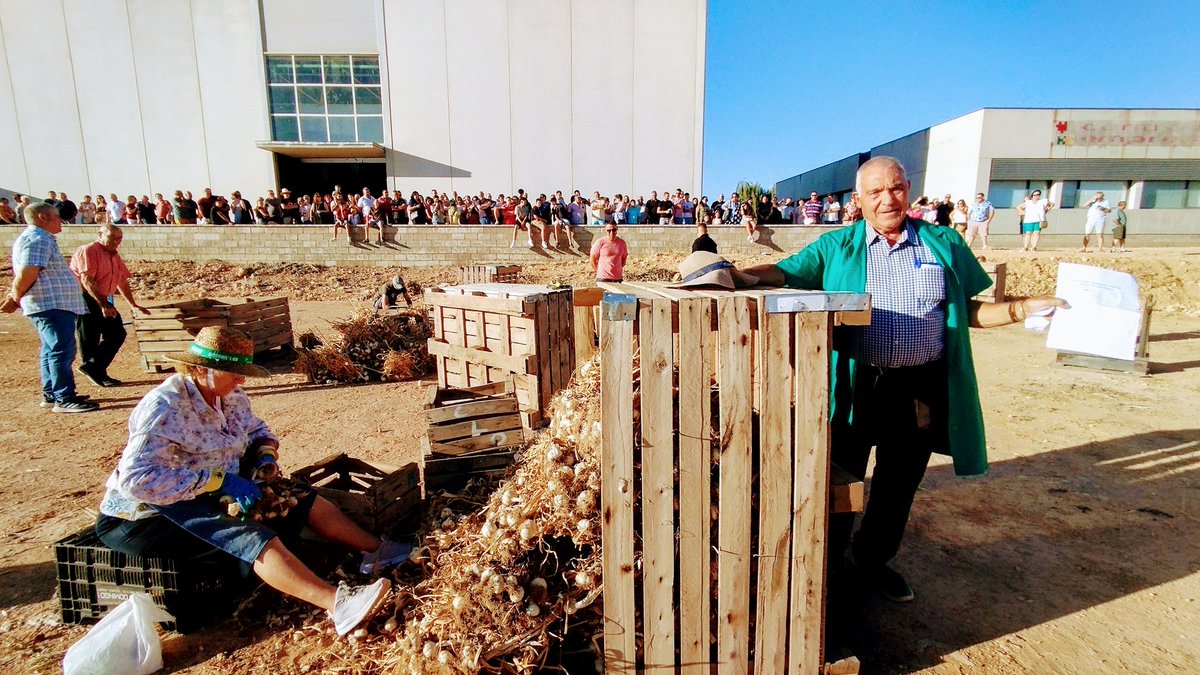 Comienza el concurso de corte de Ajo.  <a href="/PedronerasFIDA/">Feria Internacional del Ajo Las Pedroñeras</a> <a href="/APedroneras/">Ayto Las Pedroñeras</a> <a href="/igp_ajomorado/">IGP AJO MORADO</a>