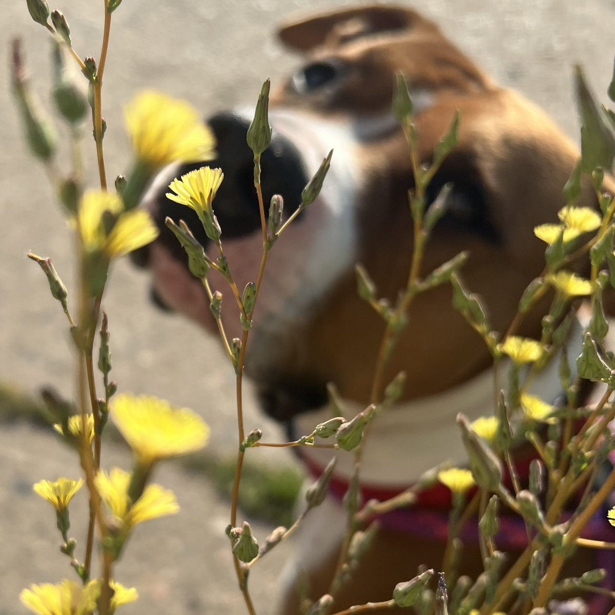 cloud_pov's tweet image. ⋆˙ 🌼 ⟡ ♡
