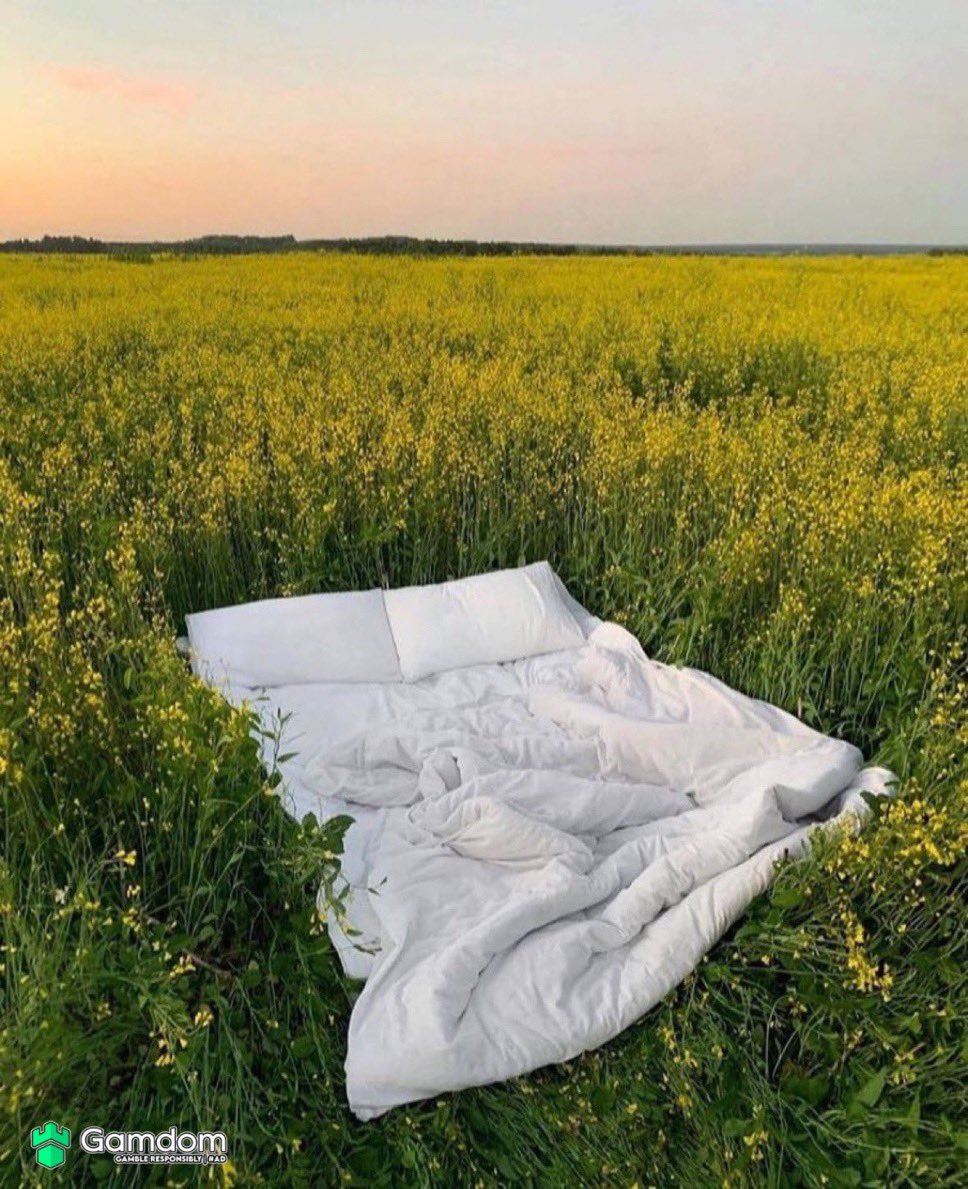 Imagine being here with the love of your lifetime