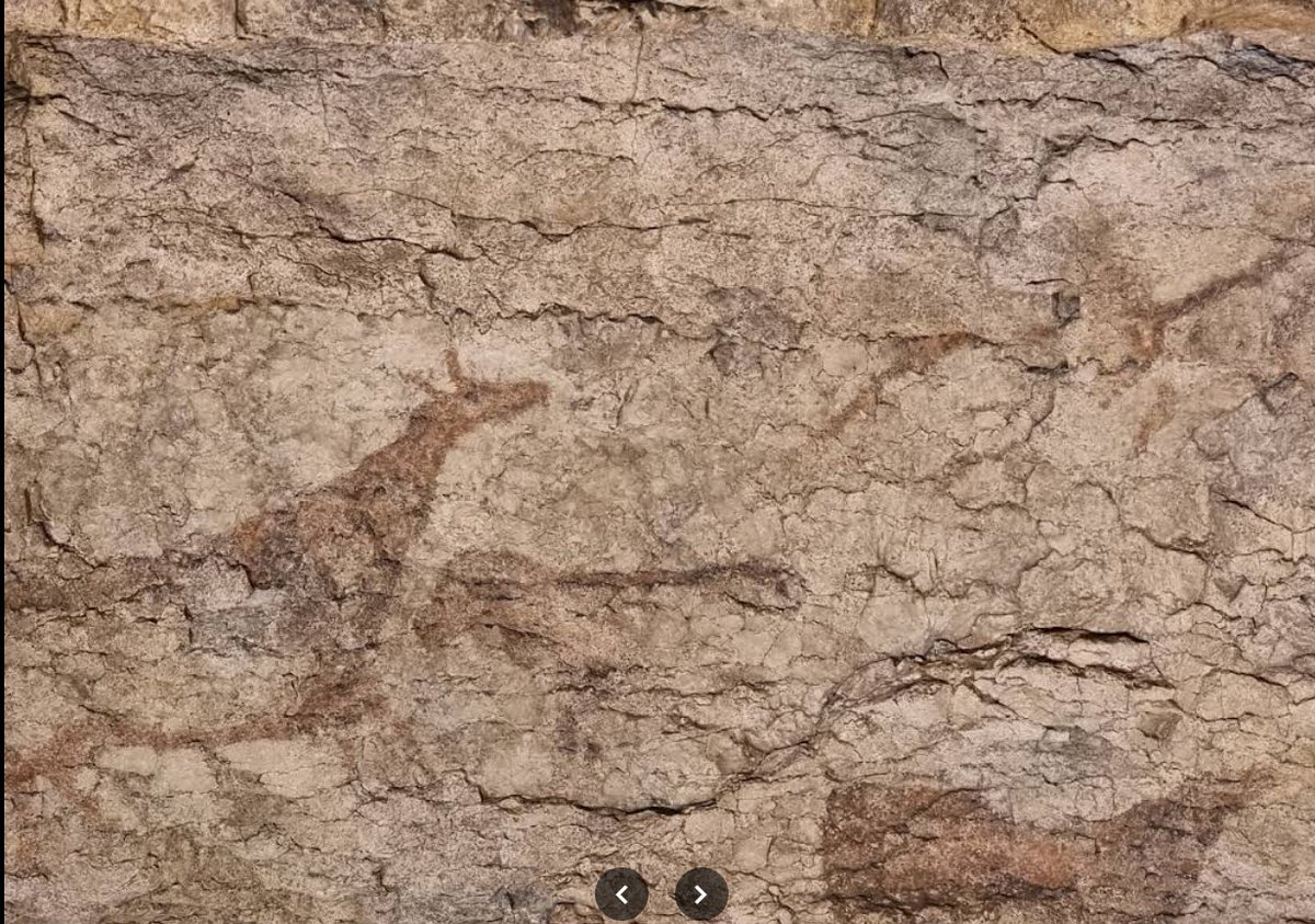 CLeiserfluss's tweet image. Morgen geht's in den Urlaub. 17 Stunden Autofahrt bis ins schöne Kantabrien. Eine Welt mit viel prähistorischen Sehenswürdigkeiten:
▪️Neandertaler-Höhlen
▪️echte Dinosaurierabdrücke im Gestein
▪️atemberaubende Buchten
▪️und mittelalterliche Städte.
Wohin verschlägt es Euch? 😊