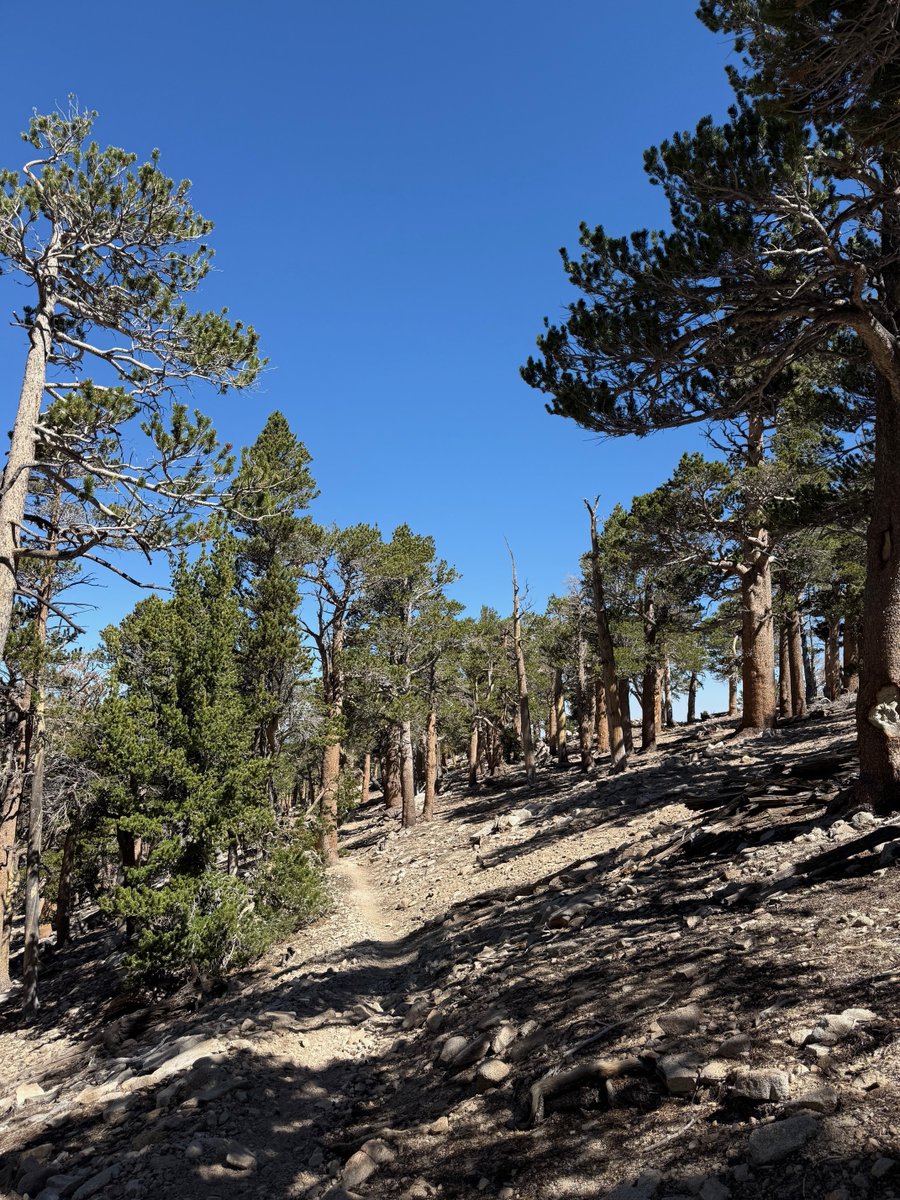 We would like to thank Heather Hill of Redlands for submitting spectacular photos of her favorite San Bernardino County destination. ⛰️ 

San Gorgonio Mountain stands at 11,503 feet and can be hiked in a day or a multi-day backpacking trip. There are several trails that can lead