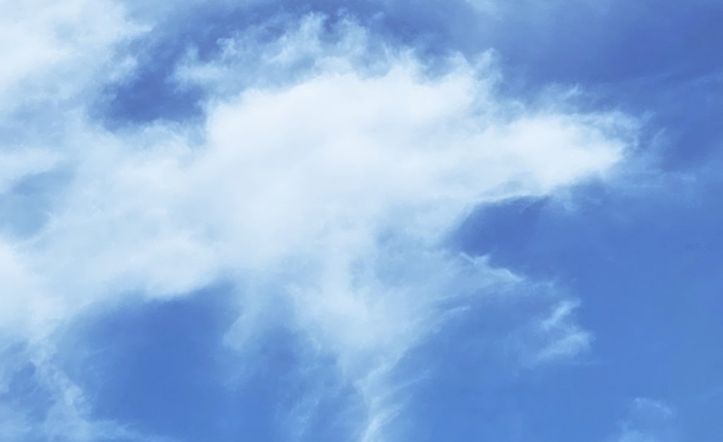dvesean's tweet image. Saturday afternoon July 26 2025
North Las Vegas

OK. I&apos;m not high.

Yet.

Does this cloud remind you of a dog&apos;s head?

The dog is looking to the right &amp;amp; he/she
has long droopy ears.

(My wife Cindi to me: &quot;You won&apos;t be driving the car today, will you??&quot;)

Yinzers In The Desert