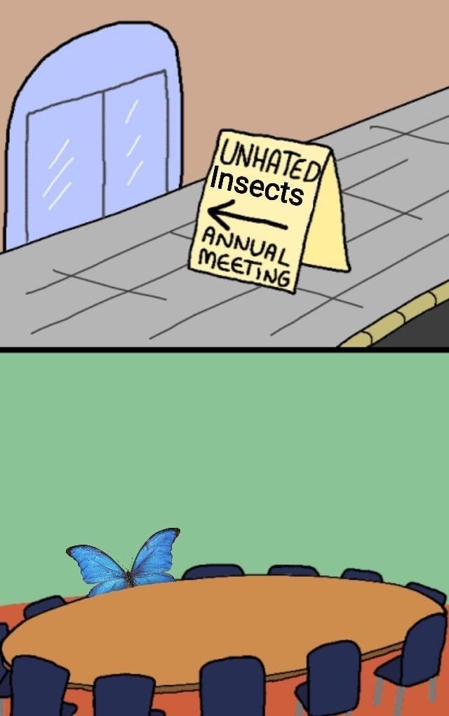 ElfaDosInsetos's tweet image. "Reunião Anual de Insetos Não Odiados" 🦋
Concordam? 😔