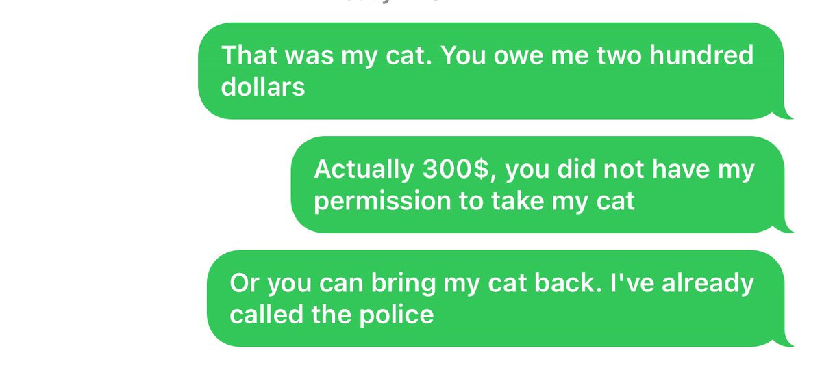 amorphatiii's tweet image. some tried stealing my kitten. I was not fuckin around .