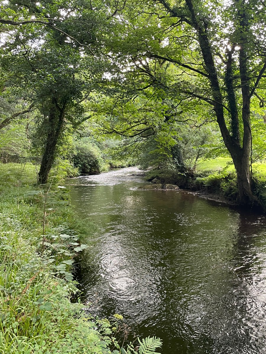 DCFishEA's tweet image. Evening patrol along the river Fowey in Cornwall.
🏞️
If you are fishing 🎣 for Salmon or Sea trout please make sure you have the correct licence
🐟
gov.uk/fishing-licenc…