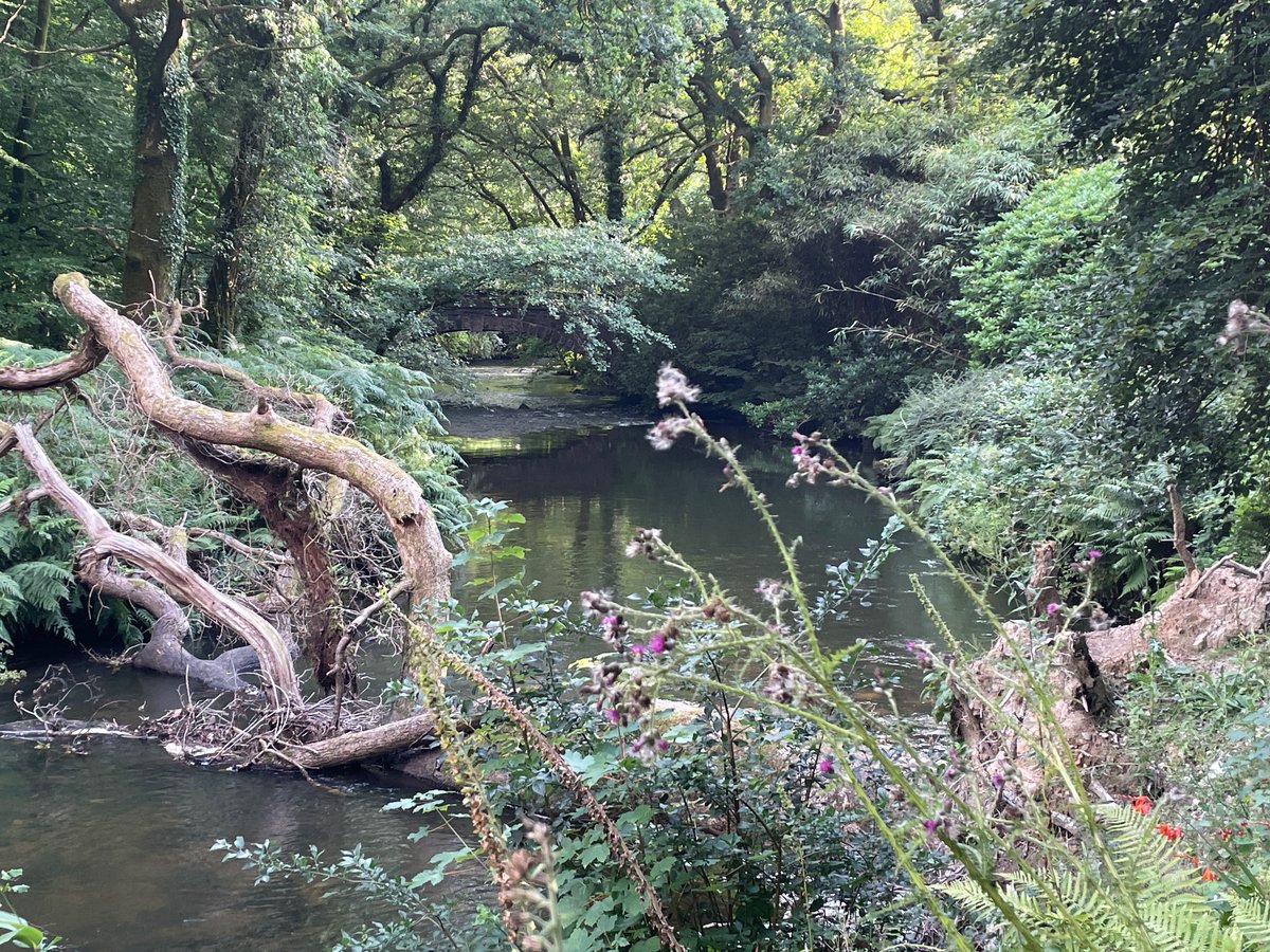 DCFishEA's tweet image. Evening patrol along the river Fowey in Cornwall.
🏞️
If you are fishing 🎣 for Salmon or Sea trout please make sure you have the correct licence
🐟
gov.uk/fishing-licenc…