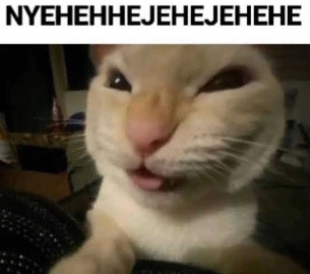 ihihsiwgtsgimm_'s tweet image. Creo que ahora si estoy aprendiendo francΓ©s de verdad, sentΓa que no habΓa estado aprendiendo mucho pero ya estoy entiendiendo mΓ‘s πΌ