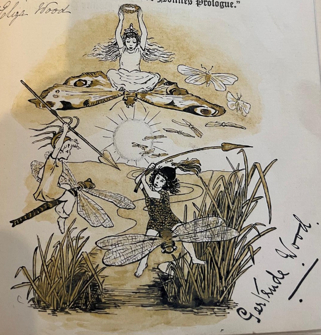 Hand drawn ento illustration found in a birthday book 1889 belonging to Ivy Aldin. Who was Gertrude Wood and did she produce other ento artworks?
