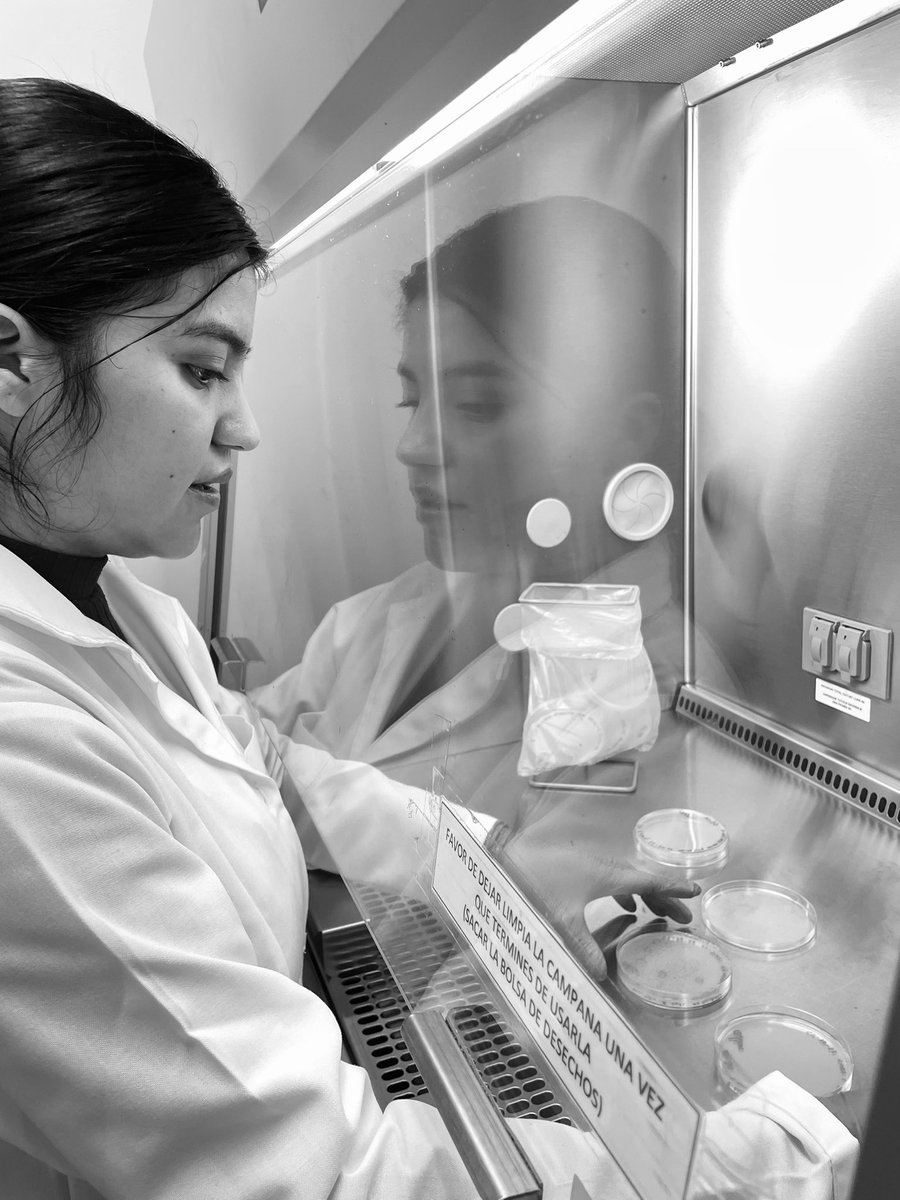 zuly_mar03's tweet photo. I want to thank @PASPCR1 and @CP_News for supporting my training at @LIIGH_UNAM, and Dr @Christian_moli_ and Dra @daniela_oaks for choosing me as a scholarship recipient. I will continue to strive to contribute, step by step!  https://t.co/ZozdSXmbIQ… https://t.co/IRqjWL3SHa