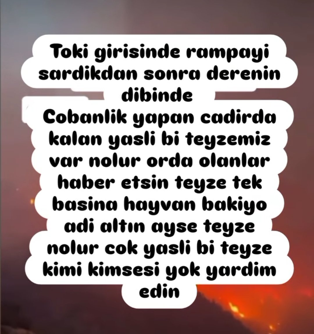 Bursa Gürsu Toki girişinde cadirda kalan ALTIN AYŞE TEYZE den haber alınamıyor. Kendisine haber verildi mi bilmiyoruz. Paylaşabilir misiniz?