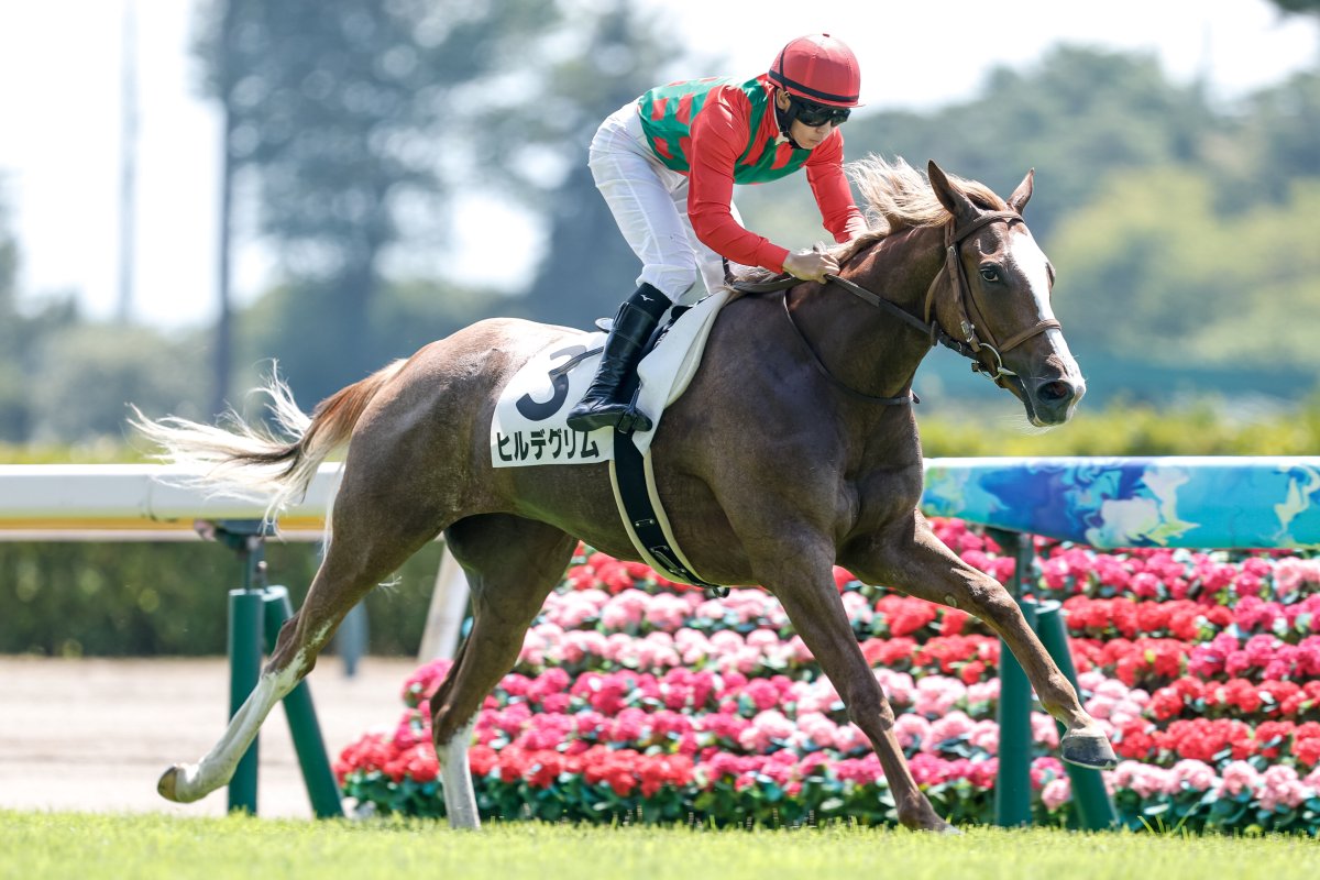 netkeiba's tweet image. 【新潟 新馬】
2R #ヒルデグリム 芝1600
父ゴールドシップ
母ナーゲルリング
叔母テイエムスパーダ
単勝69.5倍の9番人気でV。#石神深道 騎手は新馬戦初勝利。
3R #エコロアルバ 芝1400
#レイチェル・キング
父モズアスコット
母スターアクトレス
伯父ダンスディレクター
撮影:下野雄規