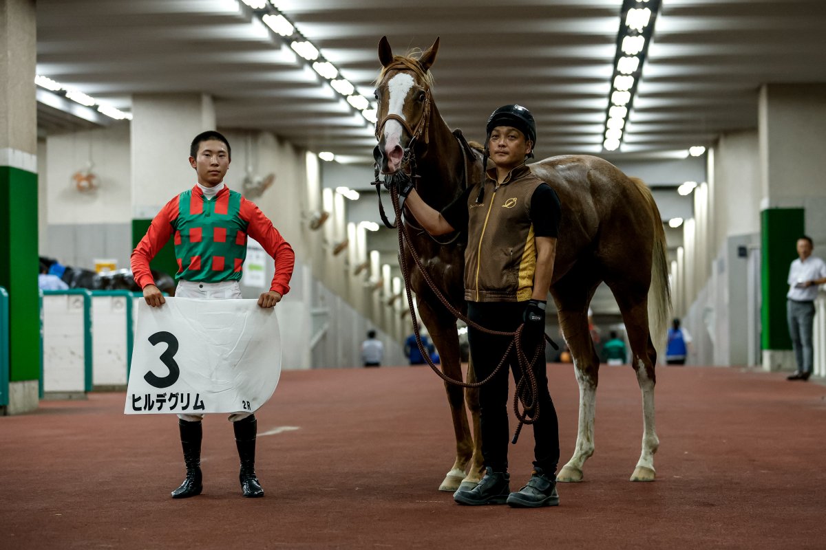 netkeiba's tweet image. 【新潟 新馬】
2R #ヒルデグリム 芝1600
父ゴールドシップ
母ナーゲルリング
叔母テイエムスパーダ
単勝69.5倍の9番人気でV。#石神深道 騎手は新馬戦初勝利。
3R #エコロアルバ 芝1400
#レイチェル・キング
父モズアスコット
母スターアクトレス
伯父ダンスディレクター
撮影:下野雄規