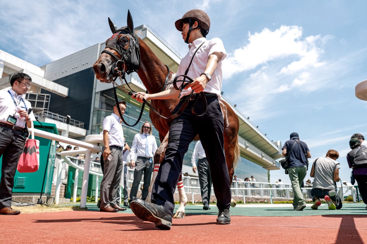netkeiba's tweet image. 【新潟 新馬】
2R #ヒルデグリム 芝1600
父ゴールドシップ
母ナーゲルリング
叔母テイエムスパーダ
単勝69.5倍の9番人気でV。#石神深道 騎手は新馬戦初勝利。
3R #エコロアルバ 芝1400
#レイチェル・キング
父モズアスコット
母スターアクトレス
伯父ダンスディレクター
撮影:下野雄規