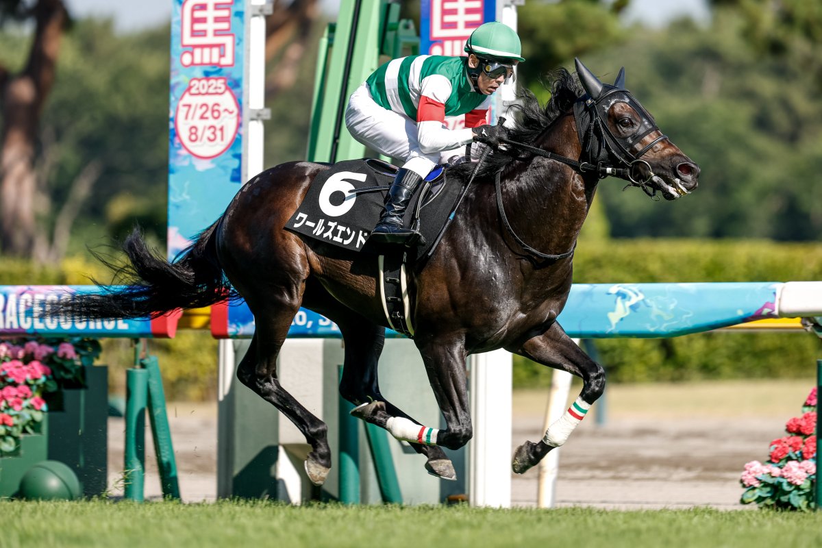 netkeiba's tweet image. 新潟6R 麒麟山特別 3歳上2勝
#クラウンシエンタ
#三浦皇成
父パイロ
母クラウンミストラル
矢野恭裕オーナーは2016年長岡S(クラウンロゼ)以来のJRA特別勝ち。
新潟7R 新潟日報賞 3歳上3勝
#ワールズエンド
#戸崎圭太
父ロードカナロア
母リラヴァティはマーメイドS覇者
撮影:下野雄規