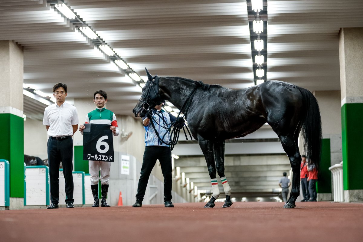 netkeiba's tweet image. 新潟6R 麒麟山特別 3歳上2勝
#クラウンシエンタ
#三浦皇成
父パイロ
母クラウンミストラル
矢野恭裕オーナーは2016年長岡S(クラウンロゼ)以来のJRA特別勝ち。
新潟7R 新潟日報賞 3歳上3勝
#ワールズエンド
#戸崎圭太
父ロードカナロア
母リラヴァティはマーメイドS覇者
撮影:下野雄規