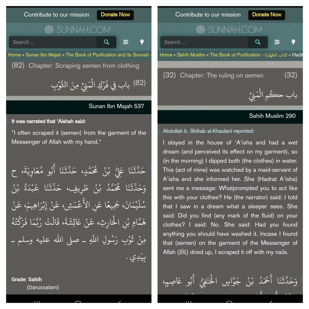 Apologetics941's tweet image. Why was Muhammad always walking around covered in semen?
Oh wait.
I know why.....
youtu.be/jtTYxxmVpvA?si…