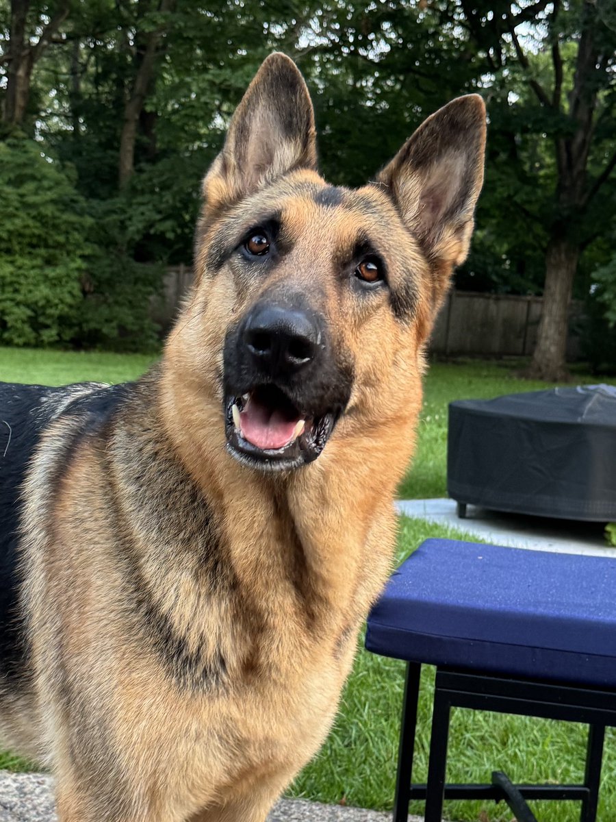 Sharing pics of Gunner with everyone at the salon while I get my hair-done-did….the consensus is that Gunner is very handsome!
