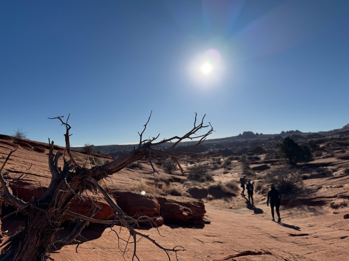 thecampwizard's tweet image. Off-trail. On adventure 🥾🌲
Gear for wherever the wild takes you 👉 thecampingwizard.com
#TheCampingWizard #WanderWild #OutdoorGear #AdventureReady 🧭🌄