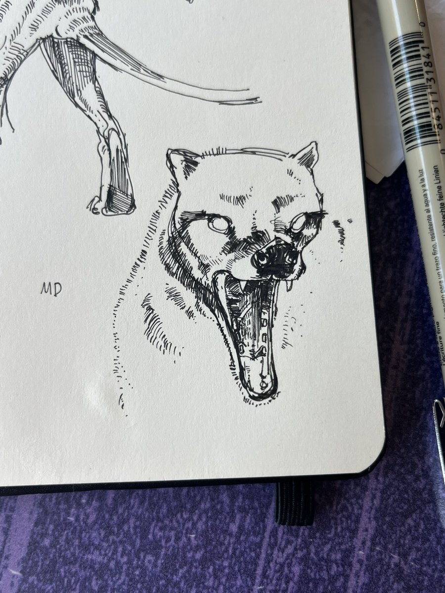 gnarpmara's tweet image. #Thylacine warmups
#micron