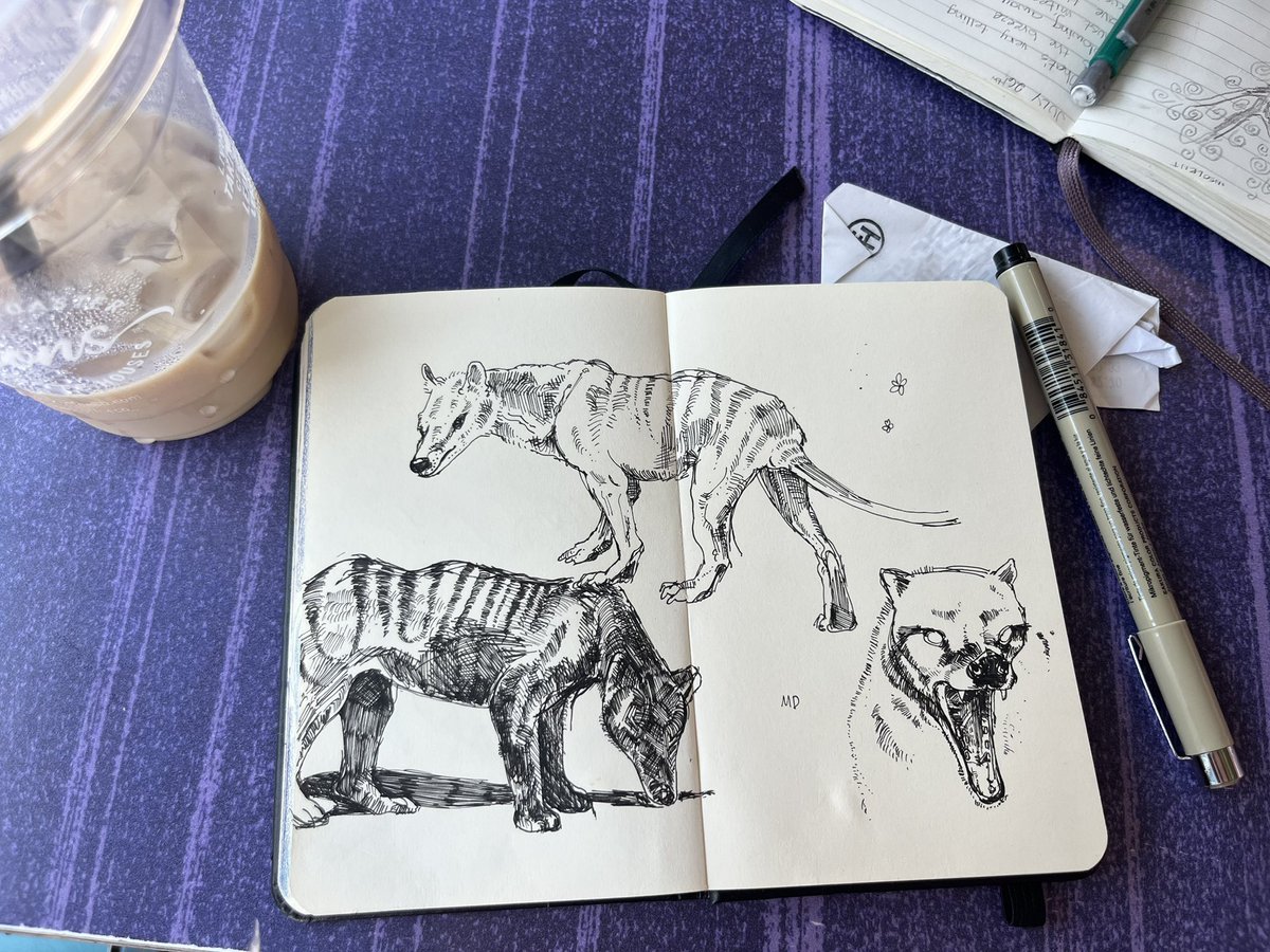 gnarpmara's tweet image. #Thylacine warmups
#micron