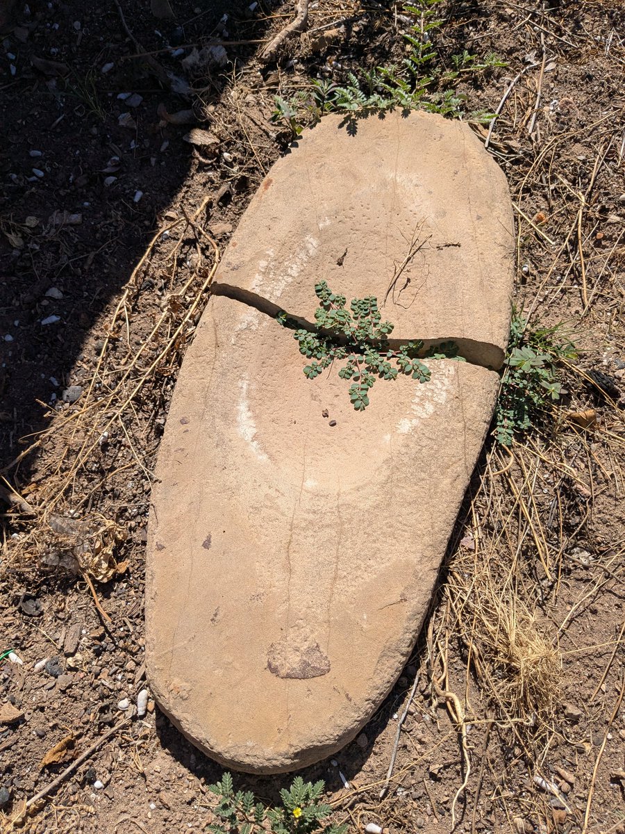 A metate the previous owners left in one of the front flower beds.