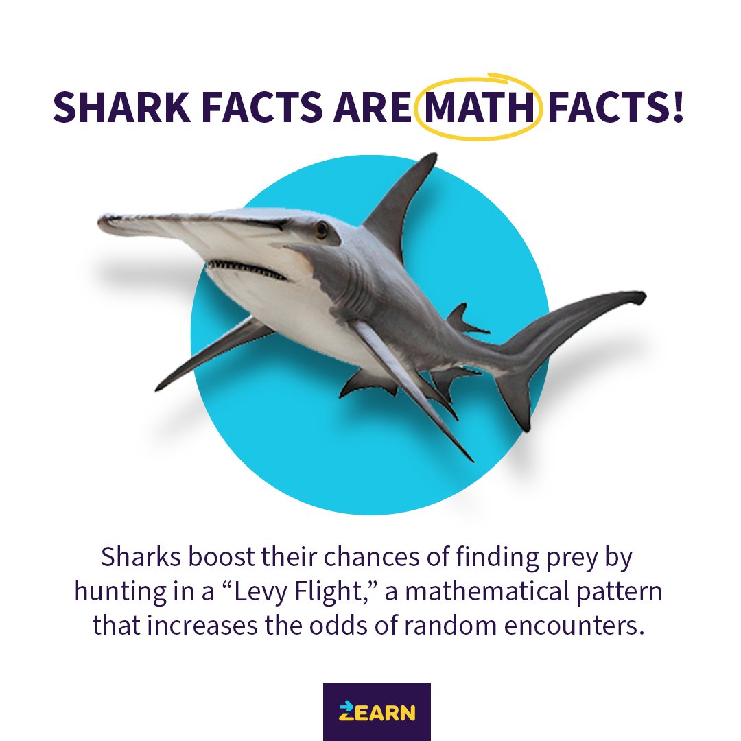 zearned's tweet image. But what about the evens of random encounters? 😜

#SharkWeek #MathIsEverywhere
