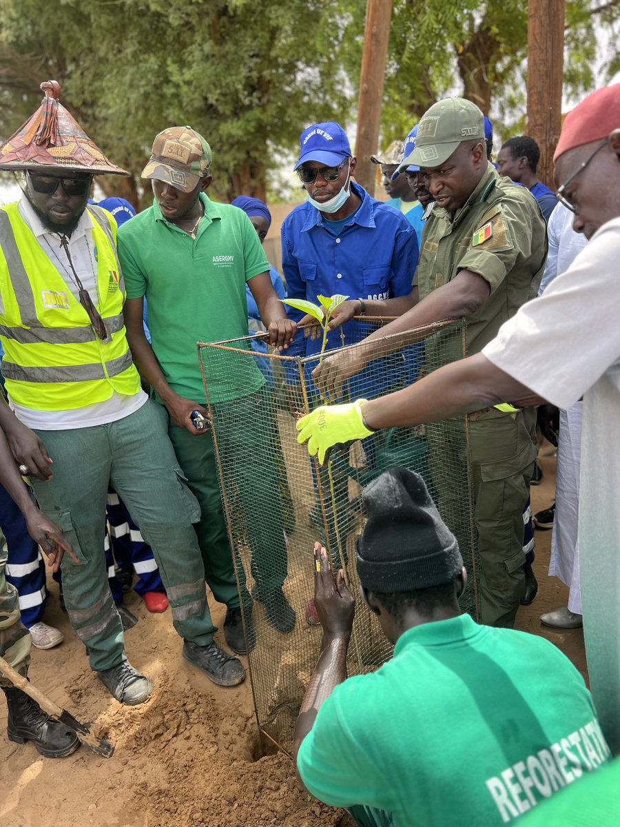 Ahmath_diallo's tweet image. Planter un arbre, c’est planter un espoir. Un geste simple, mais porteur d’un sens profond.
#QuartierVertChallenge
#SenegalVertChallenge