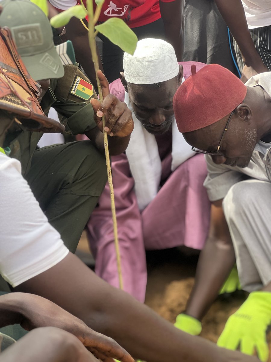 Ahmath_diallo's tweet image. Planter un arbre, c’est planter un espoir. Un geste simple, mais porteur d’un sens profond.
#QuartierVertChallenge
#SenegalVertChallenge