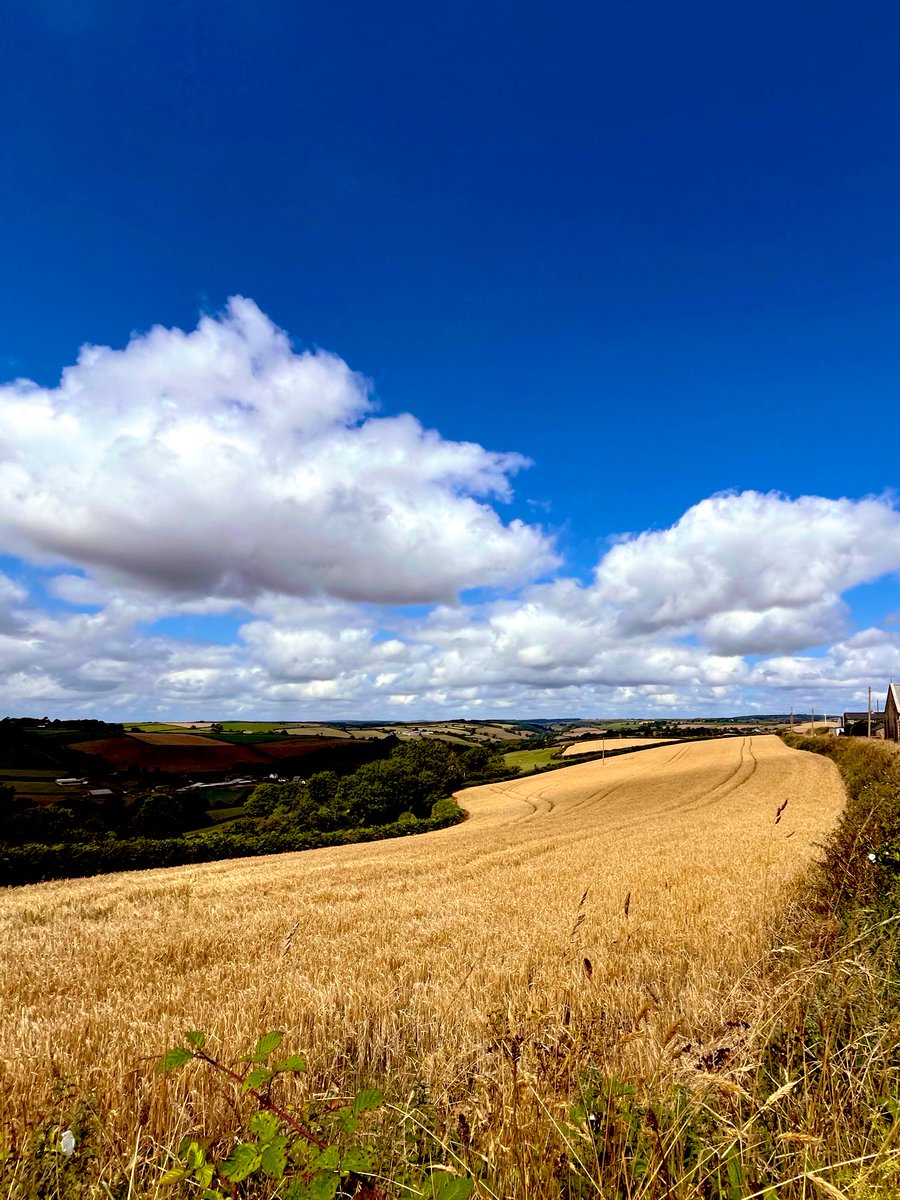 James Churchfield tweet media