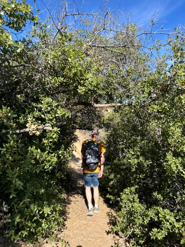 Little trek through the desert, ran into some nudists, great start to a Saturday