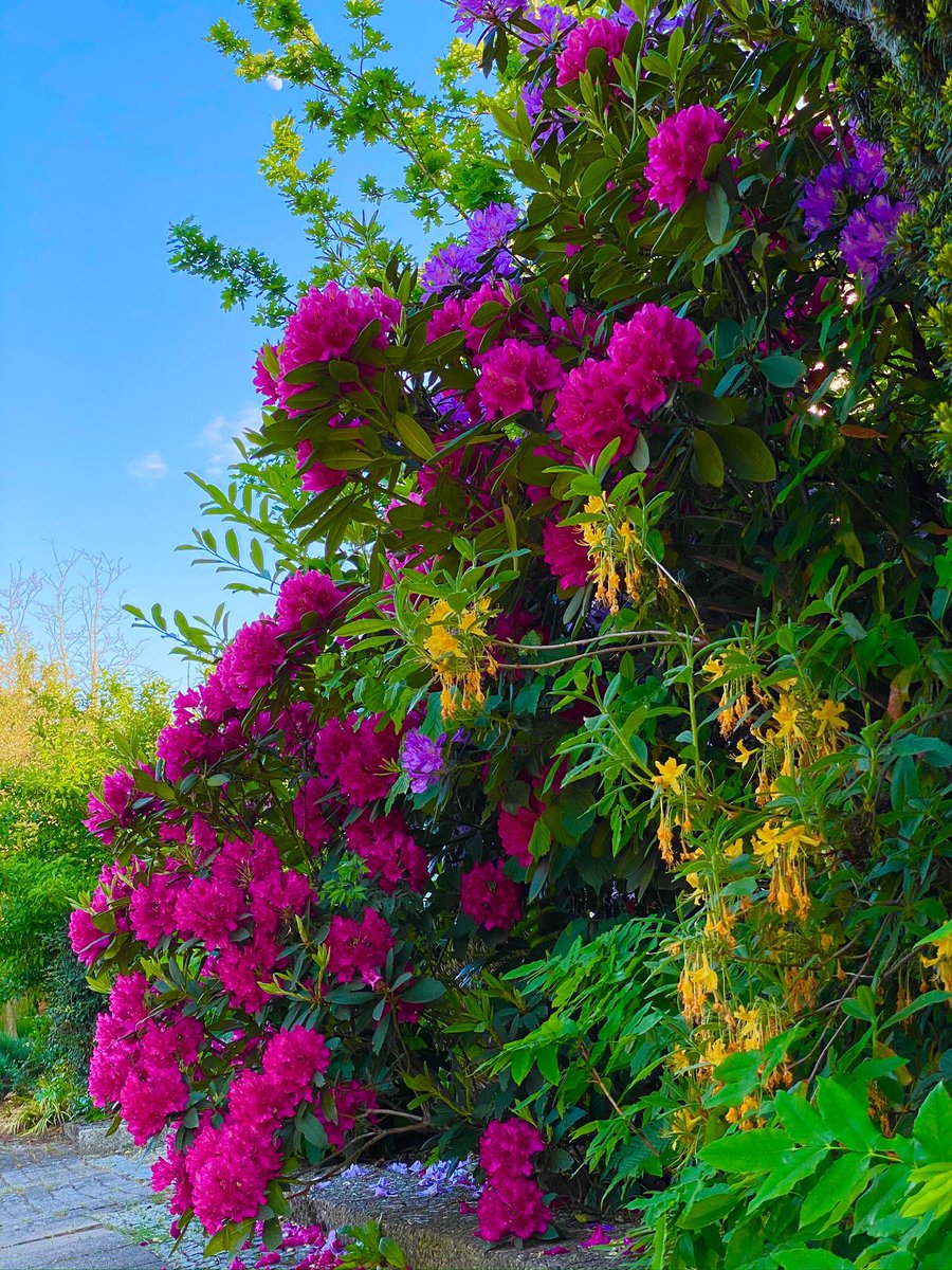 A beautiful night all my friends and people in the world 🌍🙏💝🍀😍🤩🥰😁🌹🌺✌️🌍🍦☕️🏝️