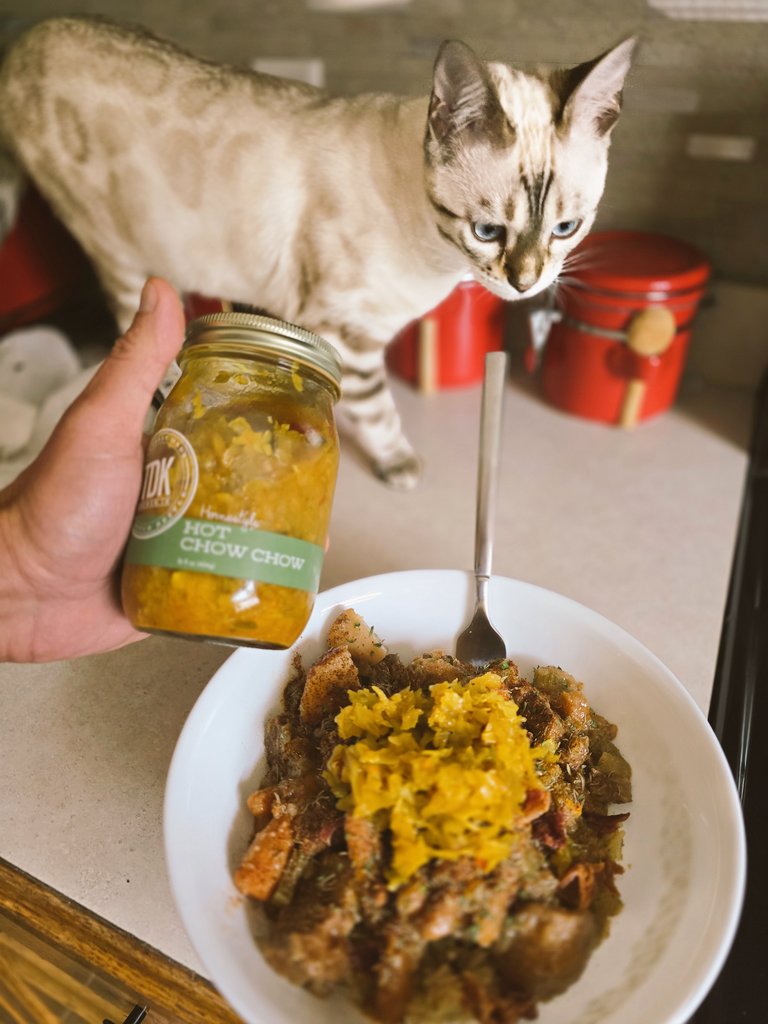 CryptikRiK's tweet image. ALL BEEF. NO FILLER... except #bcaas and the cabinet pharmacy.... 2 weeks.
The second I get hungry... mfrs got like 8 mins before the onslaught of unrelenting Mouth sewer vomitry and Food rage kicks in.
Everyone is at fault when I am not fed.
Maybe #diabeetus? #Gottagetapump…