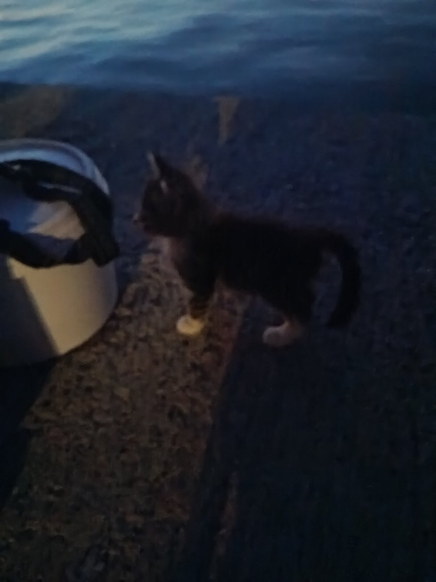 kyrykaina's tweet image. Τι θα γίνει βρε θείο?
Θα βγάλεις τίποτα να τσιμπήσουμε ή να παραγγείλω απ' έξω ?