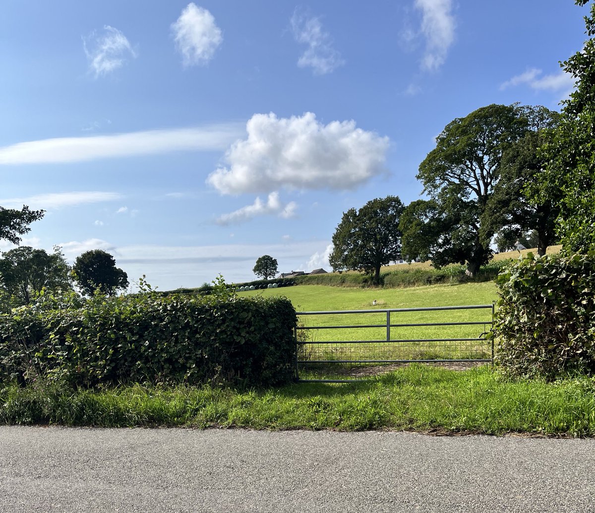 ionarees's tweet image. I asked my granddaughter to take a photo for me 📸👧🏼🚶🏼♀️
#Sky #clouds #trees 💚