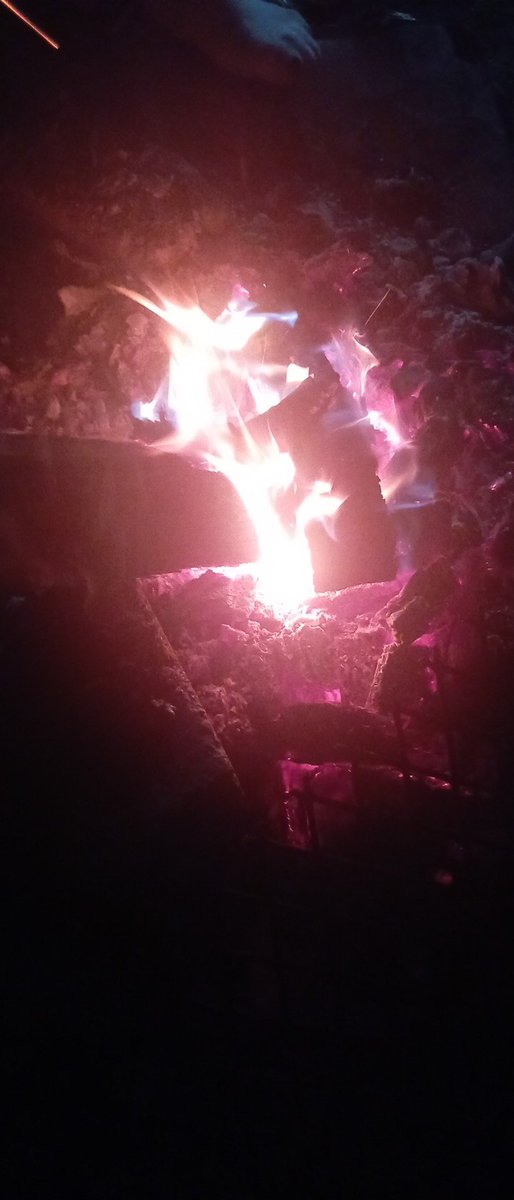 Home sweet home 🏡