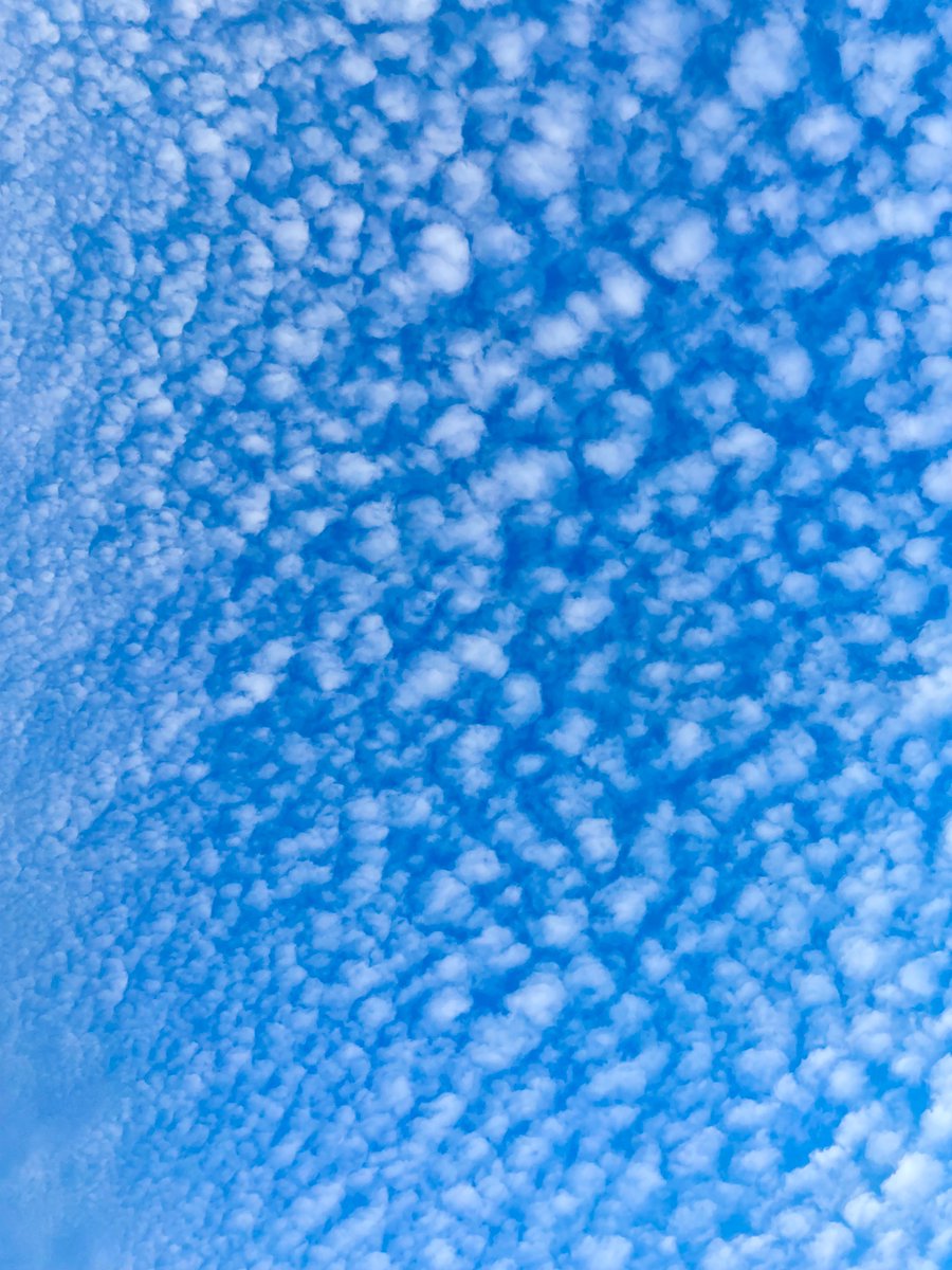 Zomer in Zeeland❤️