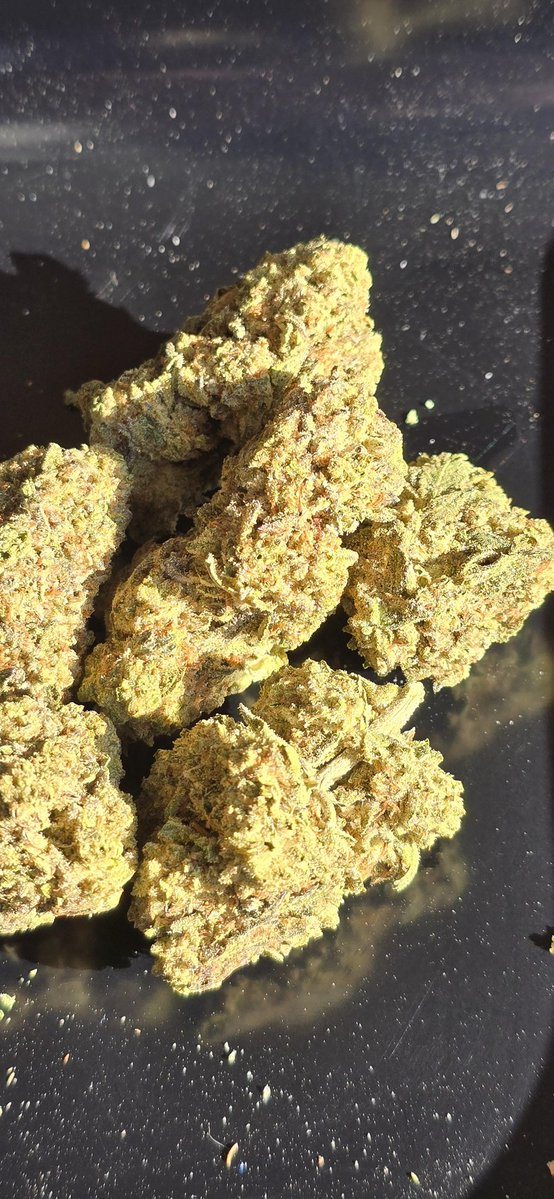 STONED2Da_BoneZ's tweet image. 🍍 Pineapple OG🍍