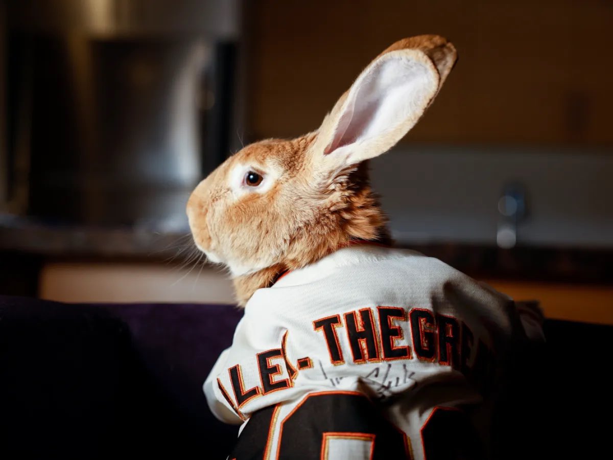 SFGiantsMemer's tweet image. We lost some legends this week.