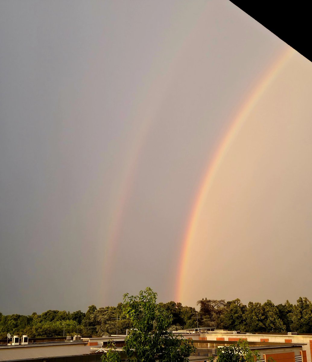 danabi_b's tweet image. Perché uno non basta 🌈