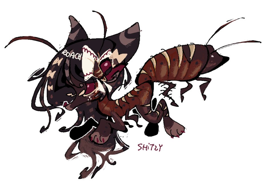 rekinlyk's tweet image. more adoptslop toyhou.se/34308665.roach…