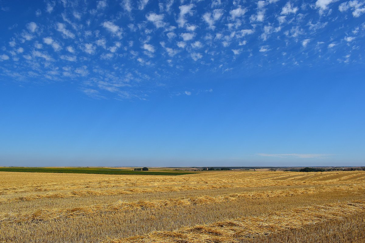Andrés Tomé (@tomeandres) on Twitter photo Máxima de 26°C hoy 26 de julio. Este era el aspecto del cielo y de los campos al SW del Valle del Arlanza (Burgos) esta mañana. <a href="/TiempoCyLTV/">El Tiempo en CyL</a> <a href="/sibilafc/">Silvia Ferrer</a> <a href="/TinieblasdelaSi/">Tinieblas de la Sierra 🌾</a> <a href="/TorduelesPueblo/">Tordueles</a> <a href="/ChristianMugnoz/">Meteohuertaderey</a> <a href="/meteoduruelo/">Agustín Sandoval</a> <a href="/Mrtxu1/">Mrtxu</a> <a href="/FJCivantos/">Javier Civantos</a> <a href="/METEOYAYI/">METEOSALAMANCA </a> <a href="/anamaria190977/">Ana María Herrero</a> <a href="/martinraul16/">Raúl Martín☀️⛈🚴🏼♂️🎄🌟</a> Máxima de 26°C hoy 26 de julio. Este era el aspecto del cielo y de los campos al SW del Valle del Arlanza (Burgos) esta mañana. <a href="/TiempoCyLTV/">El Tiempo en CyL</a> <a href="/sibilafc/">Silvia Ferrer</a> <a href="/TinieblasdelaSi/">Tinieblas de la Sierra 🌾</a> <a href="/TorduelesPueblo/">Tordueles</a> <a href="/ChristianMugnoz/">Meteohuertaderey</a> <a href="/meteoduruelo/">Agustín Sandoval</a> <a href="/Mrtxu1/">Mrtxu</a> <a href="/FJCivantos/">Javier Civantos</a> <a href="/METEOYAYI/">METEOSALAMANCA </a> <a href="/anamaria190977/">Ana María Herrero</a> <a href="/martinraul16/">Raúl Martín☀️⛈🚴🏼♂️🎄🌟</a>