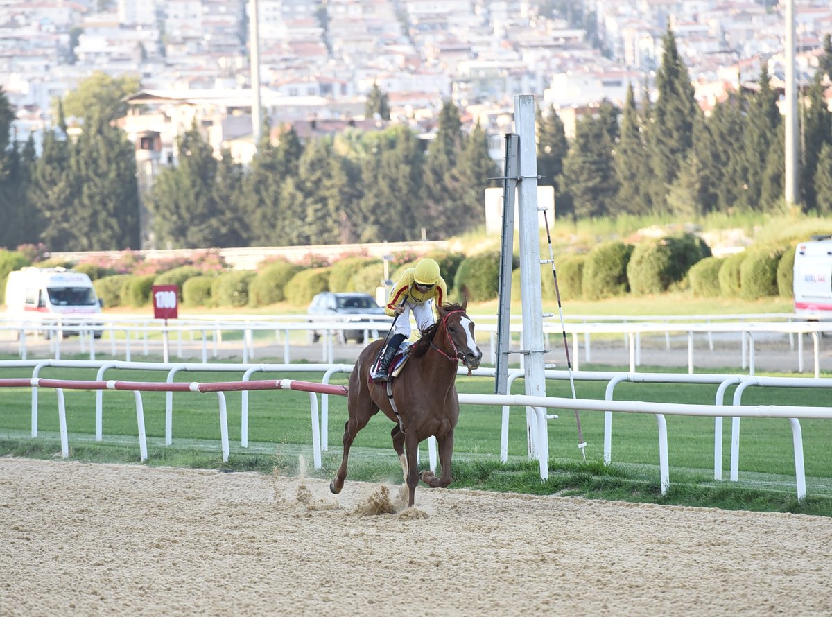 Osman Aksoy Koşusu'nda kazanan Gold Cash

tjk.org/TR/YarisSever/…