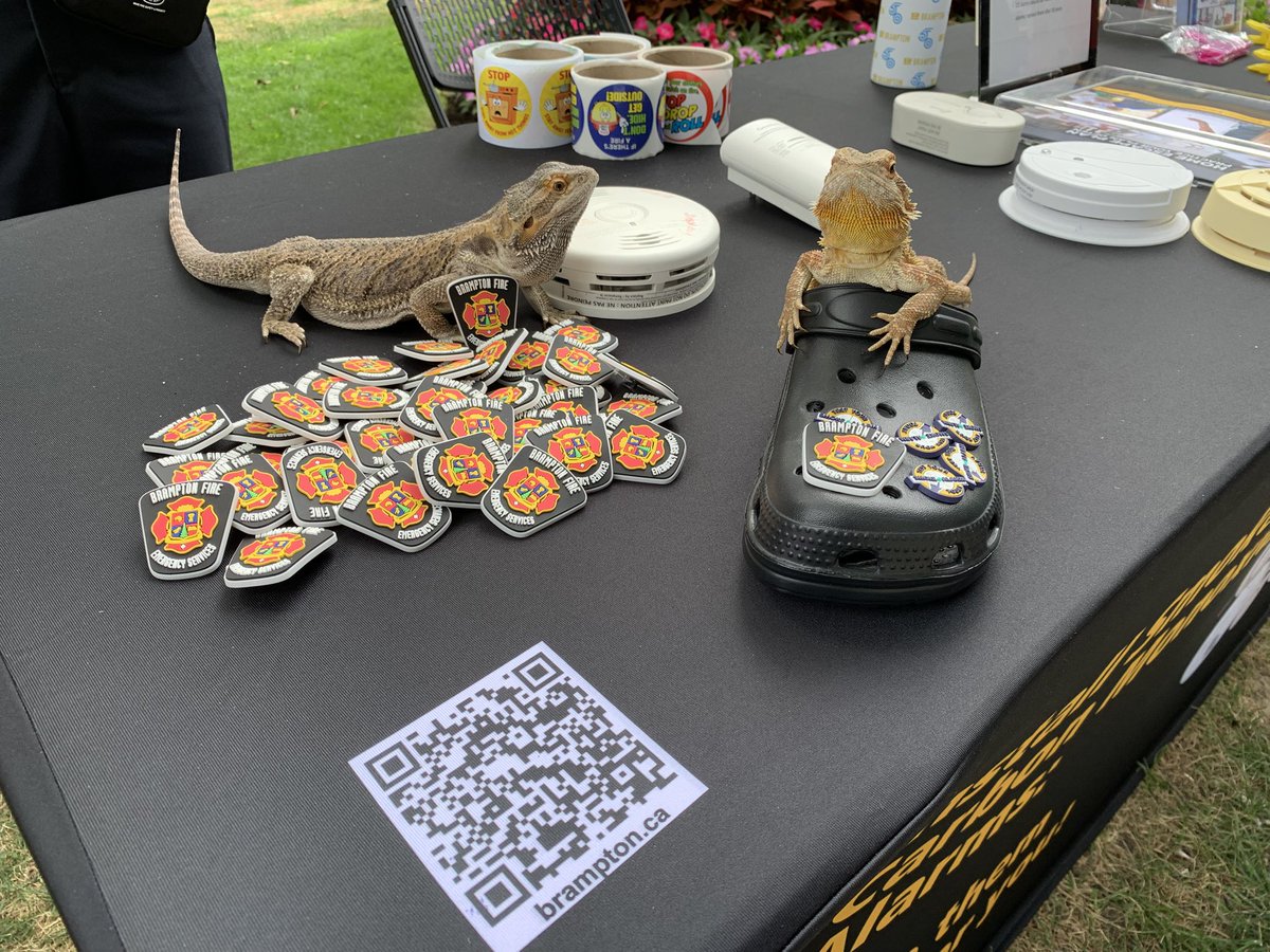 We are at Chutneyfest 2025 in Gage Park today. Having fun speaking with residents, including lizards. Thanks <a href="/cryfan/">that weird cry fan</a> for introducing us to your lizards.🦎 

“NEW” news about carbon monoxide(CO) alarms!

As of January 1, 2026, the Ontario Fire Code requires CO alarms to be